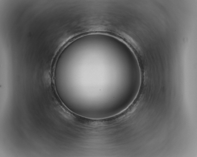 X0000113201212200909101105