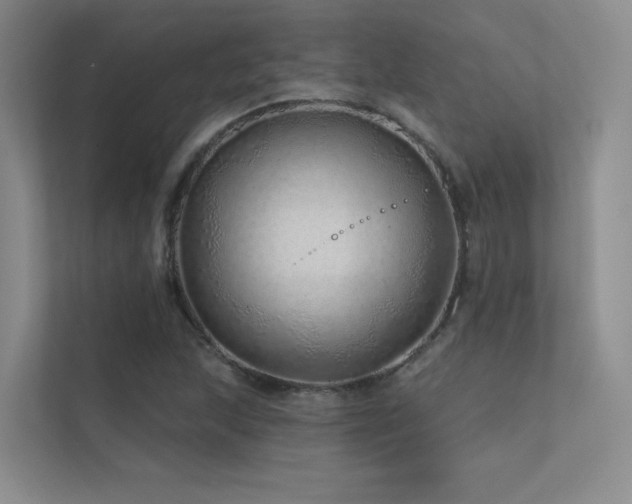 X0000113201215200909101105