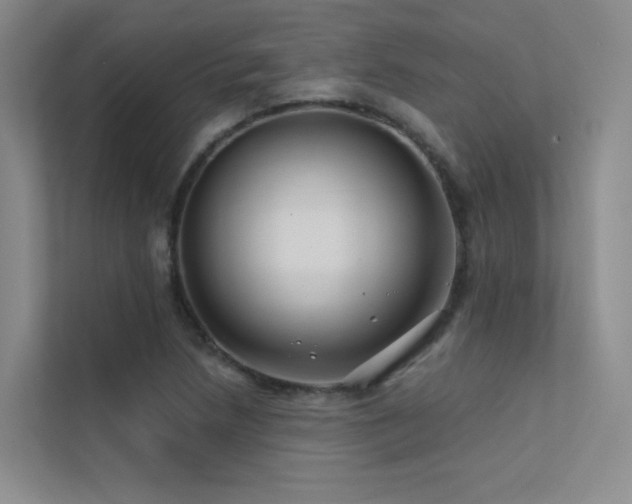 X0000113201218200909101105