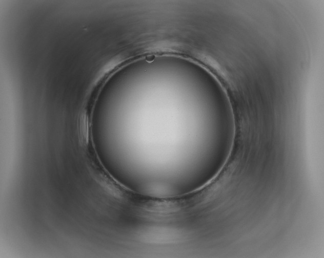 X0000113201219200909101105