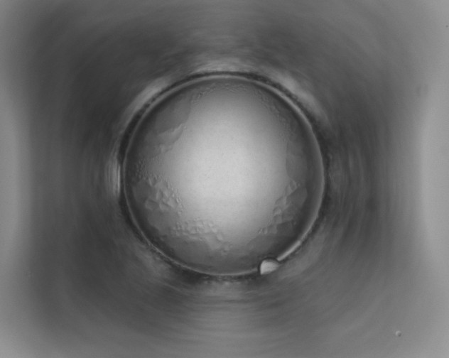 X0000113201221200909101105