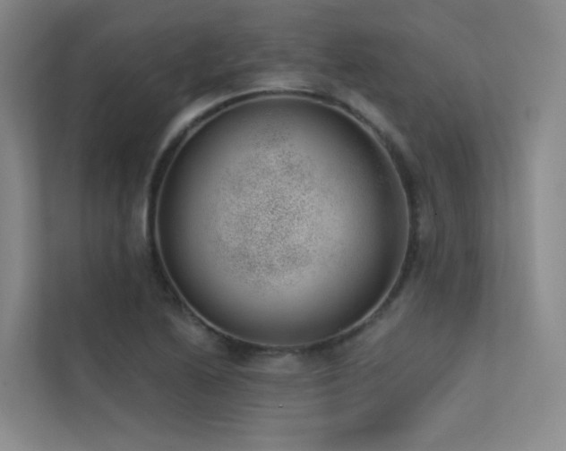 X0000113201222200909101105