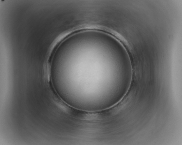 X0000113201223200909101105