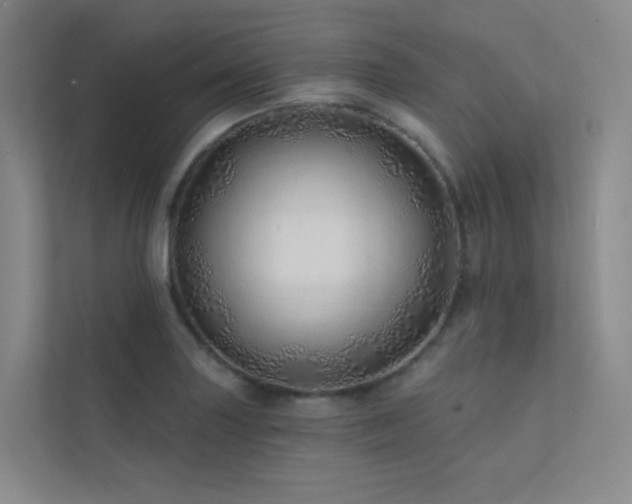 X0000113201227200909101105