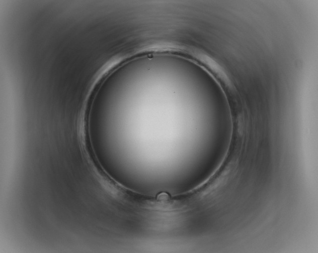 X0000113201229200909101105