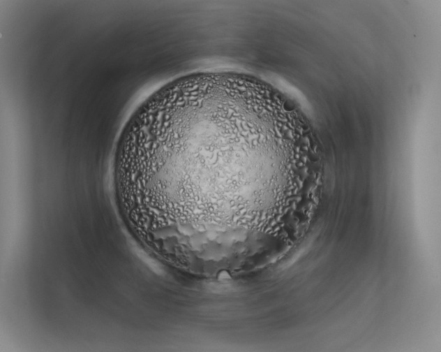 X0000113201231200909101105