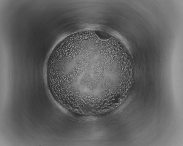 X0000113201235200909101105