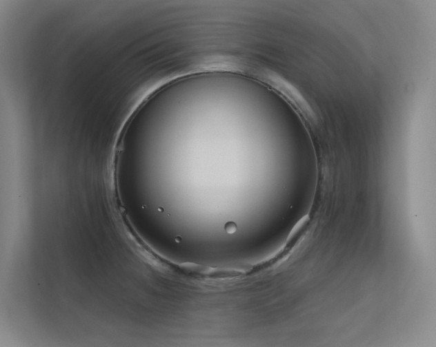 X0000113201236200909101105