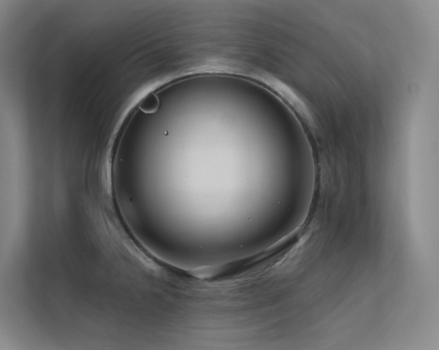 X0000113201238200909101105