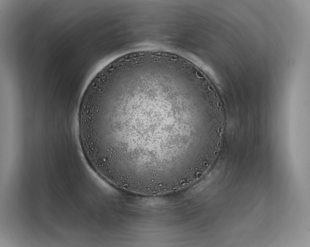 X0000113201239200909101105