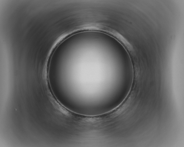 X0000113201240200909101105