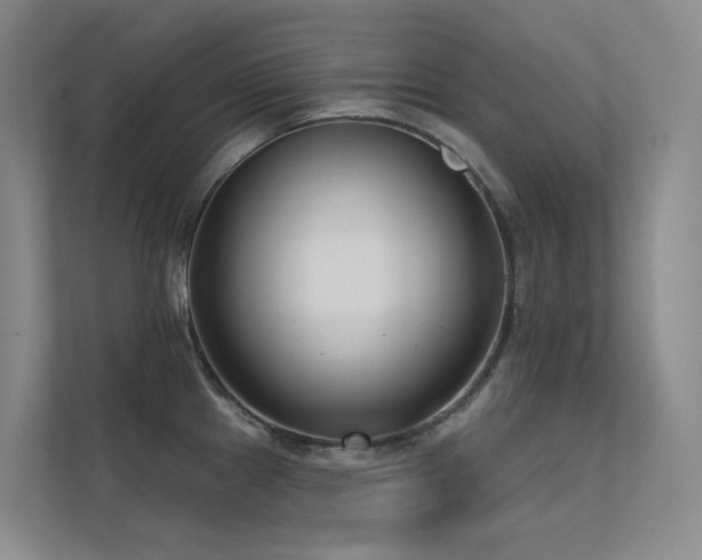 X0000113201241200909101105