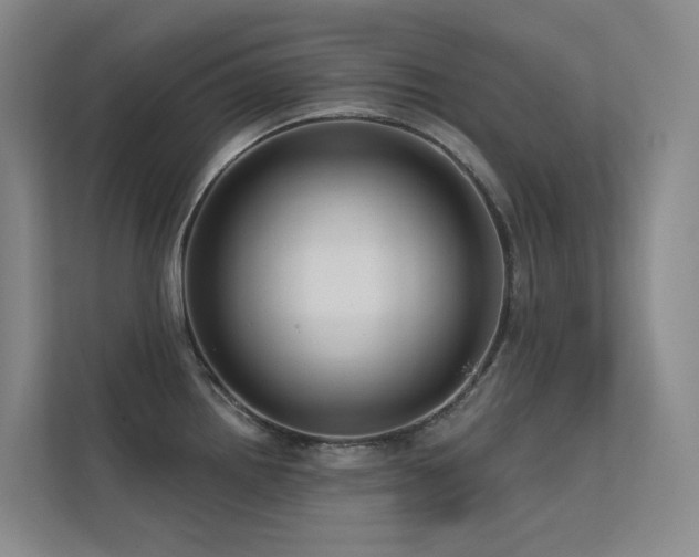 X0000113201242200909101105