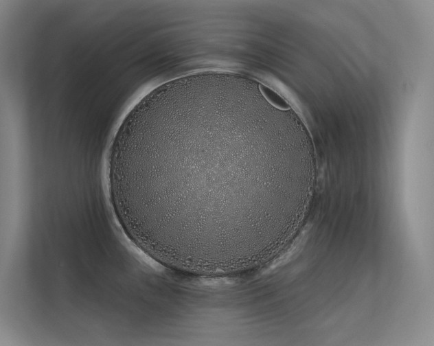 X0000113201243200909101105