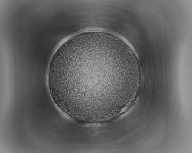 X0000113201245200909101105