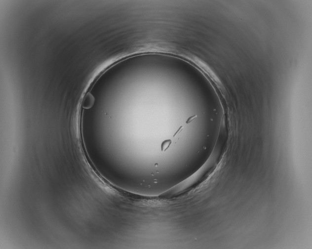 X0000113201246200909101105