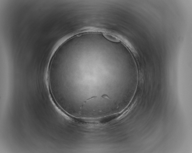 X0000113201247200909101105