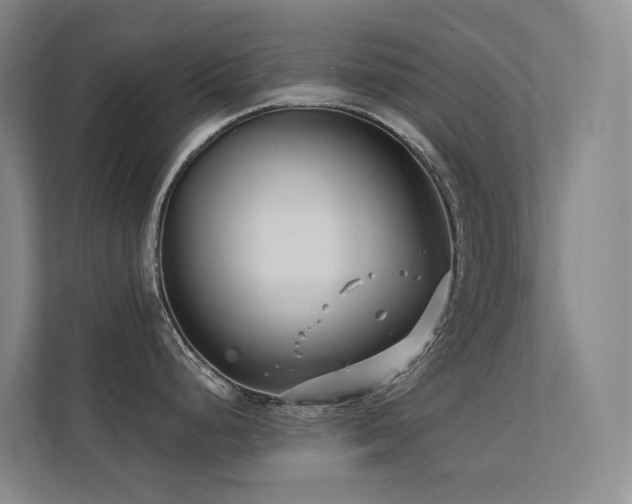 X0000113201248200909101105