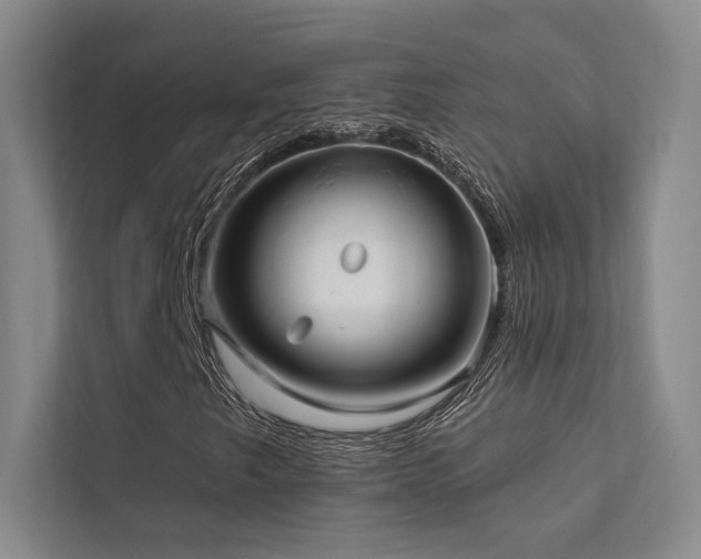 X0000113201249200909101105