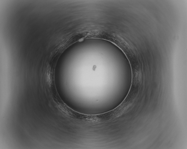 X0000113201250200909101105