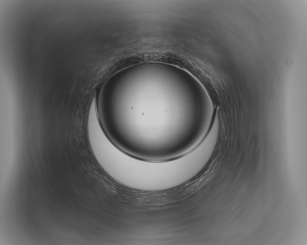 X0000113201252200909101105