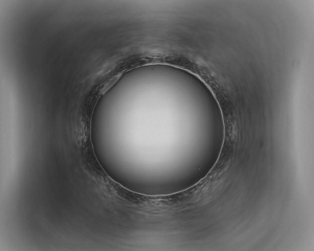 X0000113201253200909101105