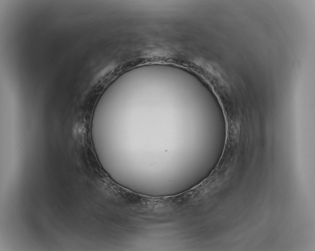 X0000113201254200909101105