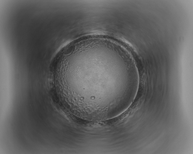 X0000113201255200909101105