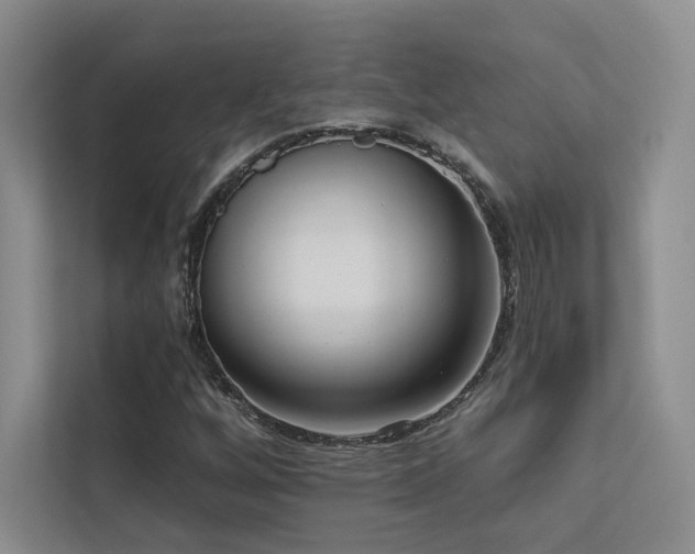 X0000113201256200909101105