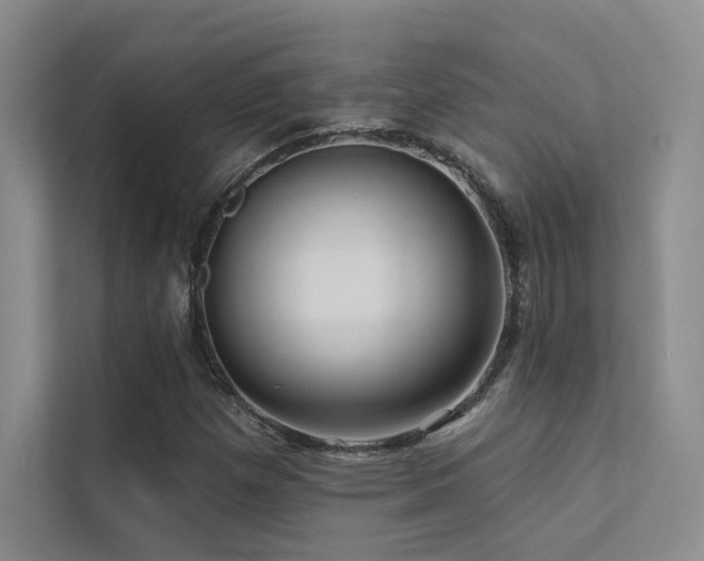 X0000113201257200909101105