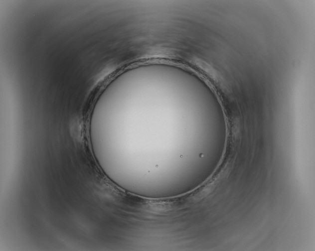 X0000113201258200909101105