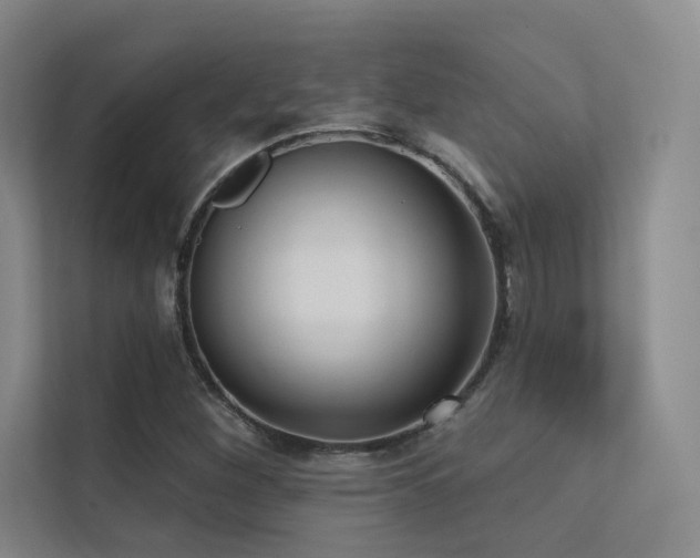 X0000113201260200909101105