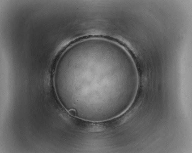 X0000113201263200909101105