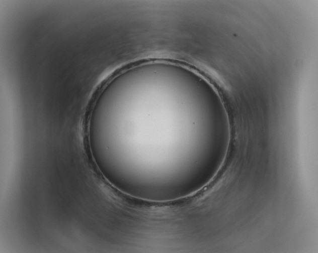 X0000113201264200909101105