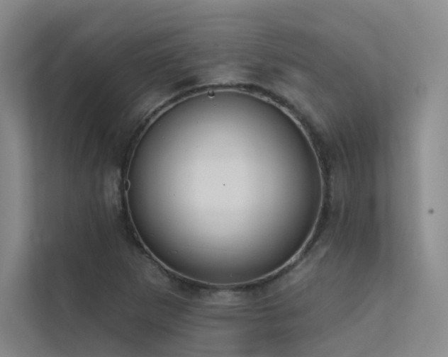 X0000113201265200909101105