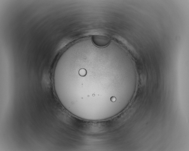 X0000113201266200909101105