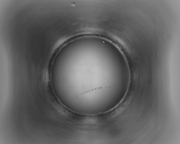 X0000113201267200909101105