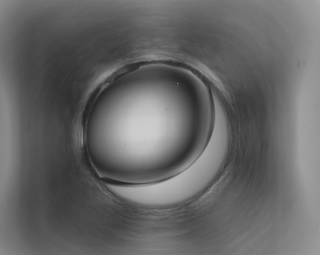 X0000113201269200909101105