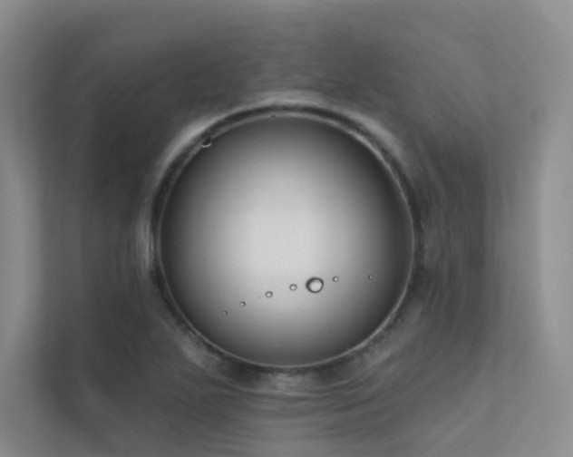 X0000113201271200909101105