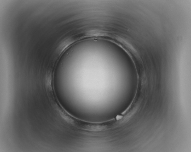 X0000113201273200909101105