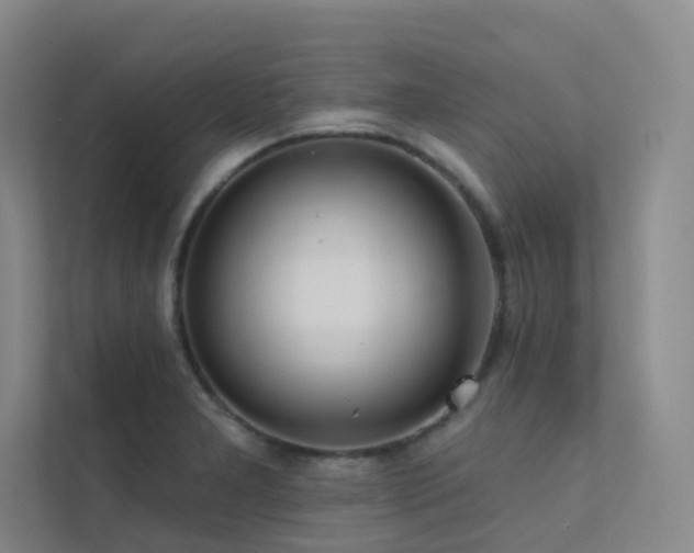 X0000113201277200909101104