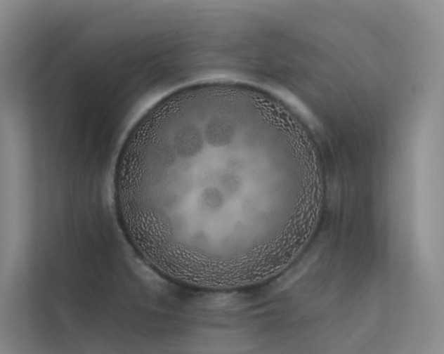 X0000113201279200909101104