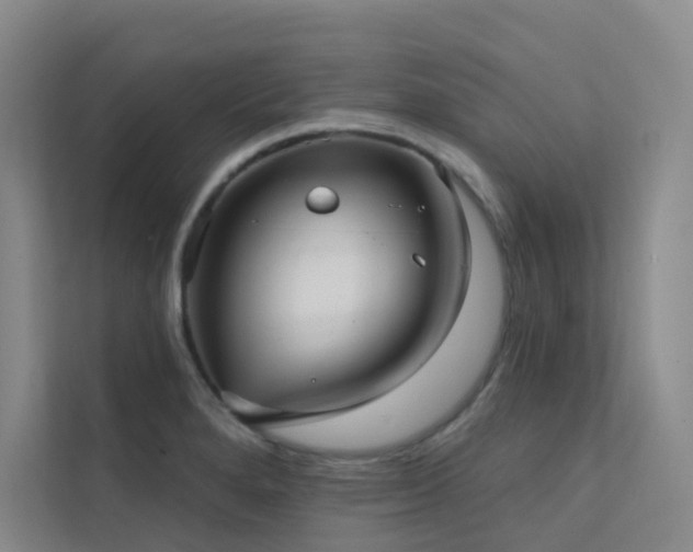 X0000113201280200909101104