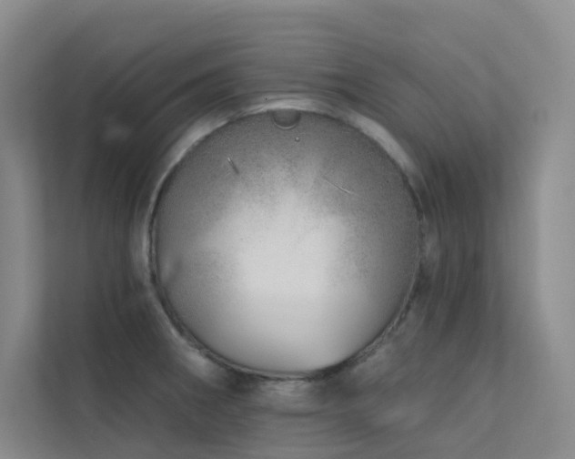 X0000113201282200909101104