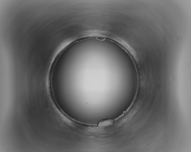 X0000113201285200909101104