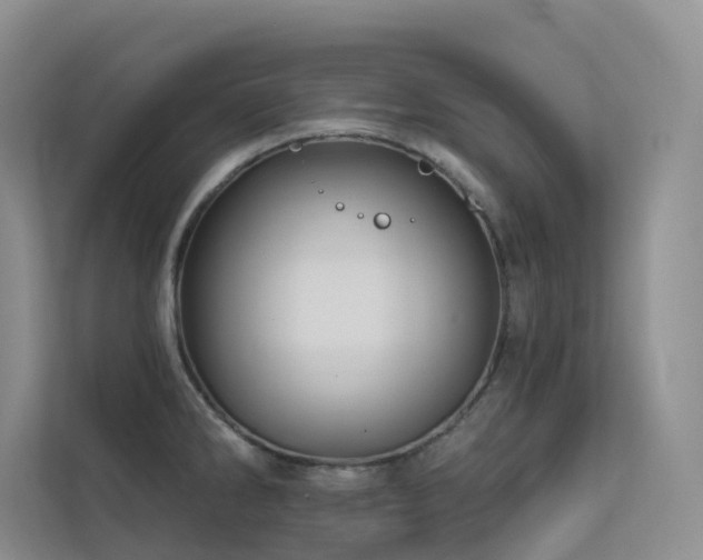 X0000113201286200909101104