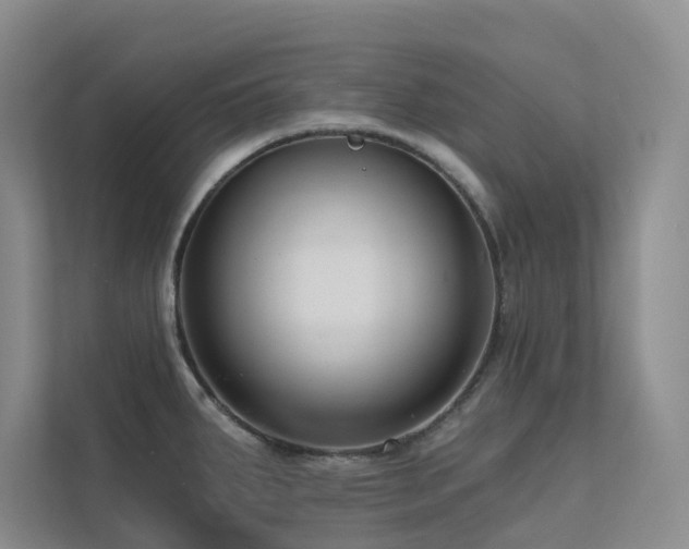 X0000113201287200909101104