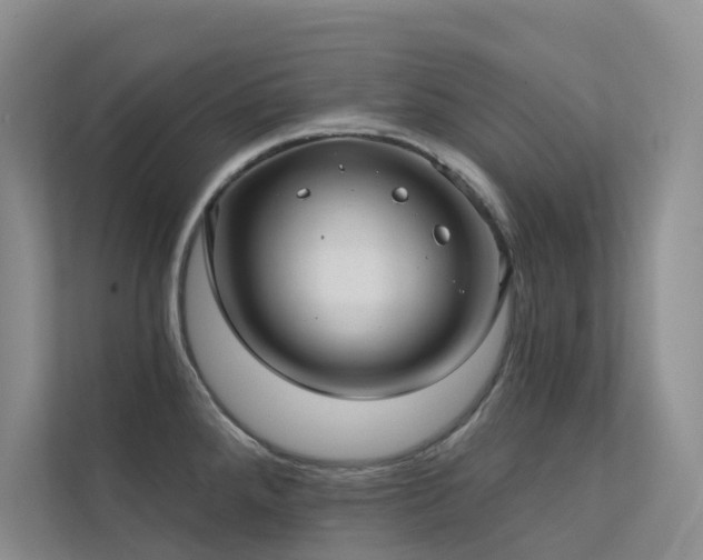 X0000113201288200909101104