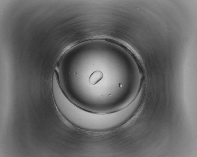 X0000113201289200909101104