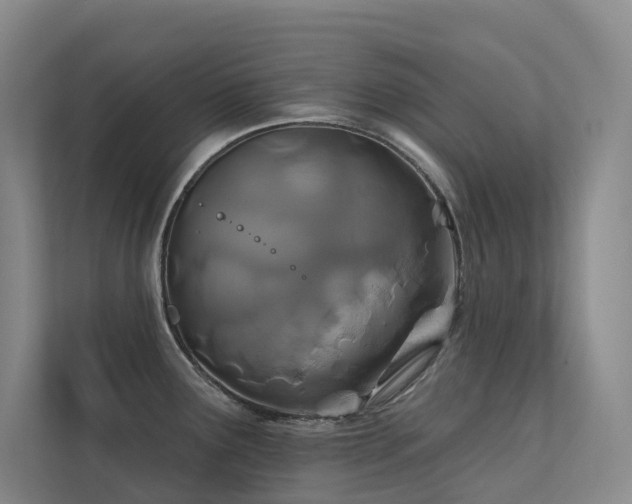 X0000113201291200909101104